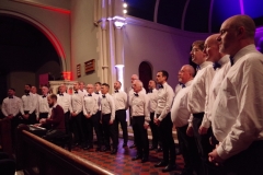 Dublin Gay Men's Chorus. Photo: A. Cras
