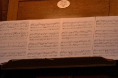 Music at Sandford, Summer 2015: Organ recital in August. Photo: A. Cras