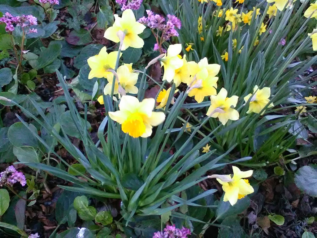 St Philip's Table Quiz